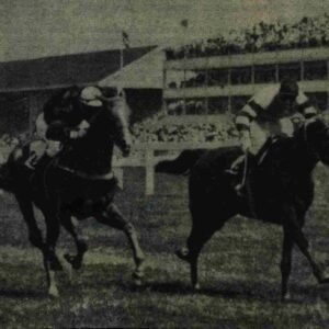 Winners at Royal Ascot in 1955