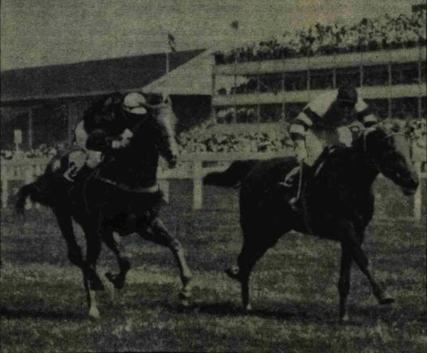 Winners at Royal Ascot in 1955