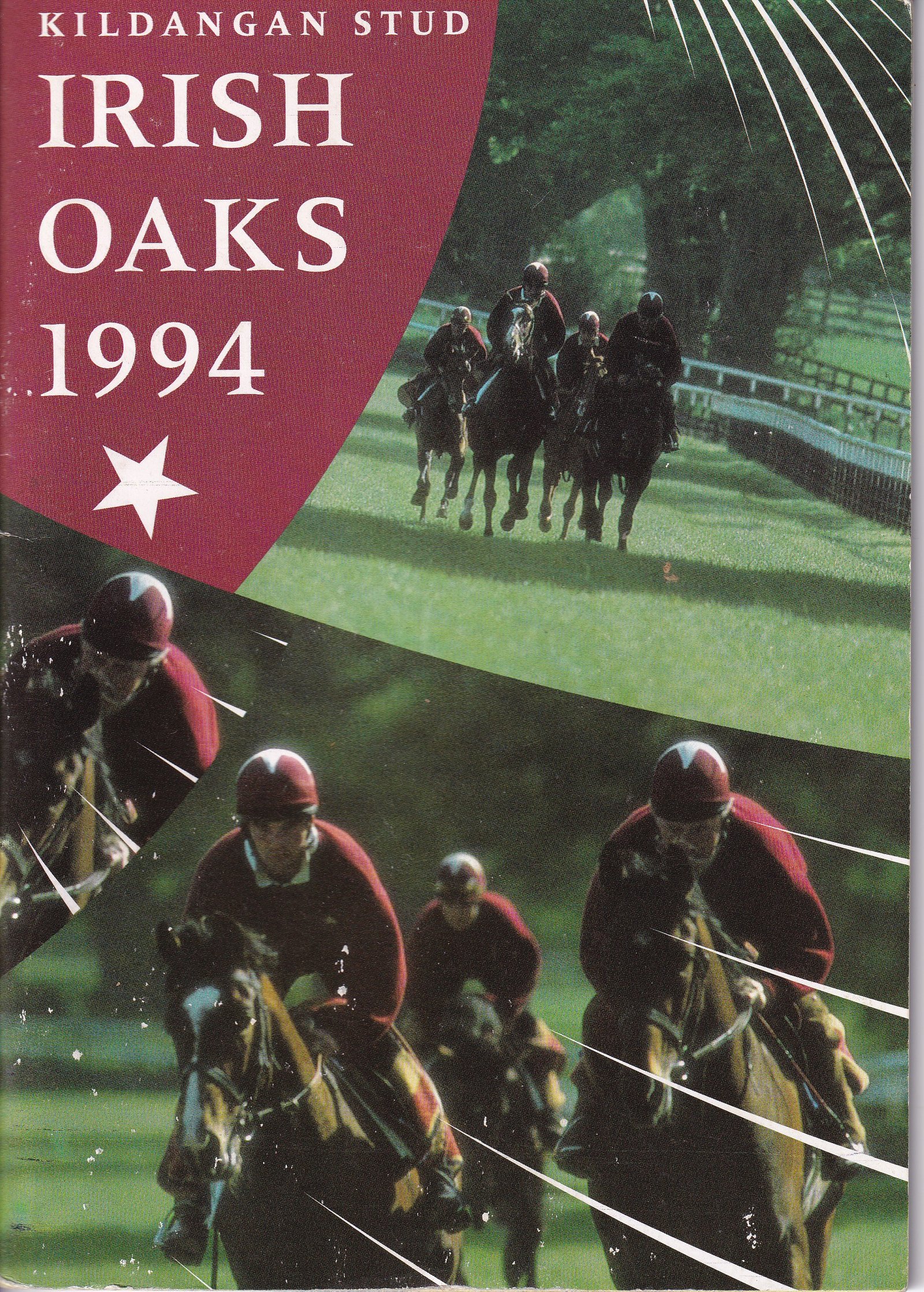 Kildangan Irish Oaks 1994 Curragh Racecard | 9 July 1994
