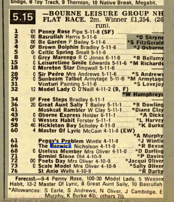 Bourne Leisure Group NH Flat Race